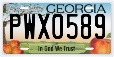 GA license plate PWX0589