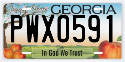 GA license plate PWX0591