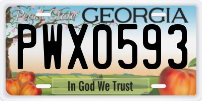 GA license plate PWX0593