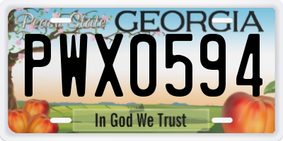 GA license plate PWX0594