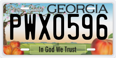 GA license plate PWX0596