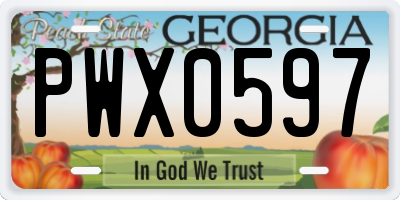 GA license plate PWX0597