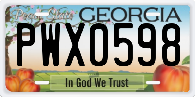 GA license plate PWX0598