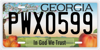 GA license plate PWX0599