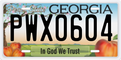 GA license plate PWX0604