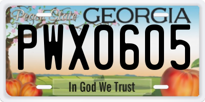 GA license plate PWX0605
