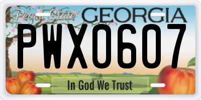 GA license plate PWX0607