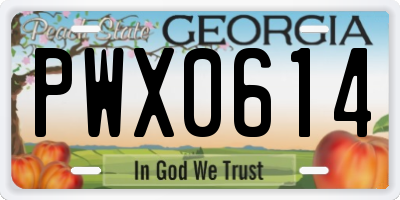 GA license plate PWX0614