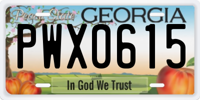GA license plate PWX0615