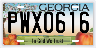 GA license plate PWX0616