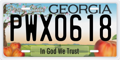 GA license plate PWX0618