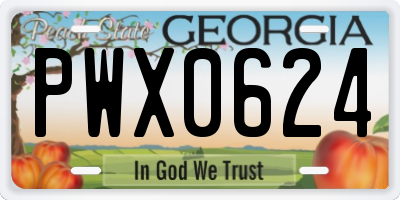 GA license plate PWX0624