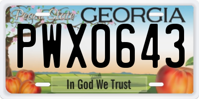 GA license plate PWX0643