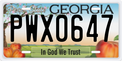GA license plate PWX0647