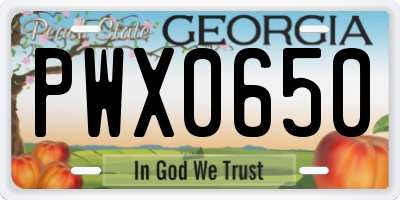 GA license plate PWX0650
