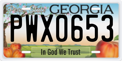 GA license plate PWX0653