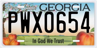 GA license plate PWX0654