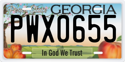 GA license plate PWX0655