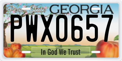 GA license plate PWX0657