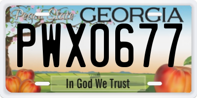 GA license plate PWX0677