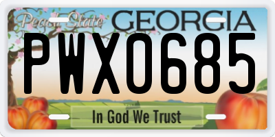GA license plate PWX0685
