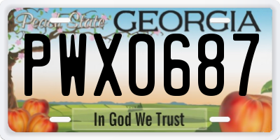 GA license plate PWX0687