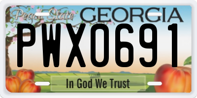 GA license plate PWX0691