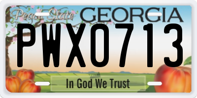 GA license plate PWX0713