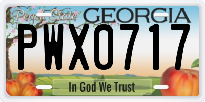 GA license plate PWX0717