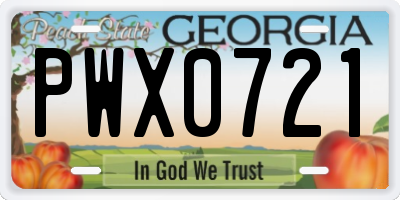 GA license plate PWX0721