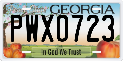 GA license plate PWX0723
