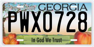 GA license plate PWX0728