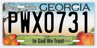 GA license plate PWX0731