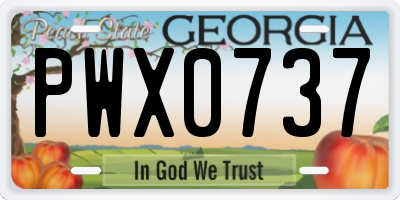 GA license plate PWX0737