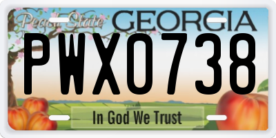 GA license plate PWX0738