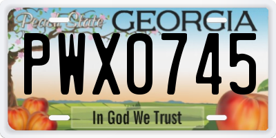 GA license plate PWX0745