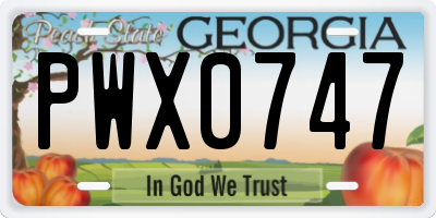 GA license plate PWX0747