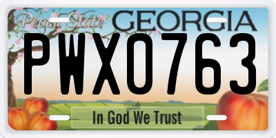 GA license plate PWX0763