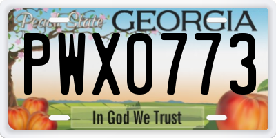 GA license plate PWX0773