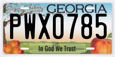GA license plate PWX0785