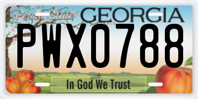 GA license plate PWX0788