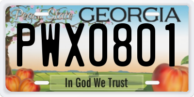 GA license plate PWX0801
