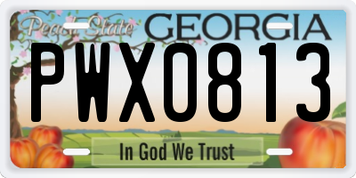 GA license plate PWX0813