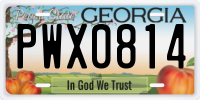 GA license plate PWX0814