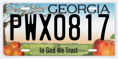 GA license plate PWX0817