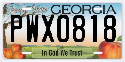 GA license plate PWX0818