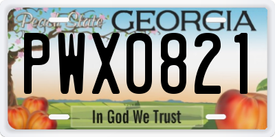 GA license plate PWX0821