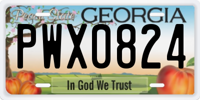 GA license plate PWX0824