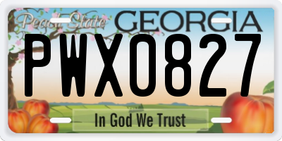 GA license plate PWX0827