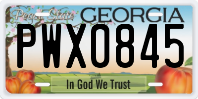GA license plate PWX0845